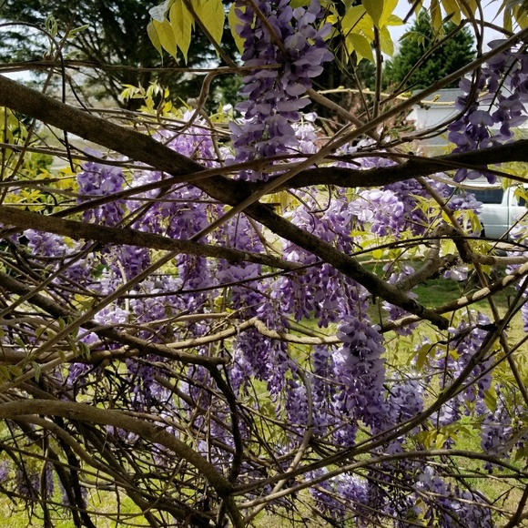 Meet your Posher, Kerry - Picture 1 of 1